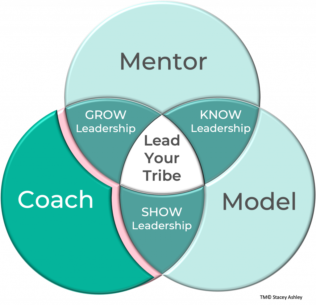 Lead Your Tribe venn